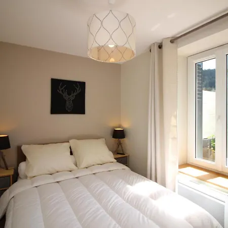 Le Mont-dore, T3 Renove Avec Jardin Prive Et Parking, Acces Wifi Appartement Le Mont-Dore