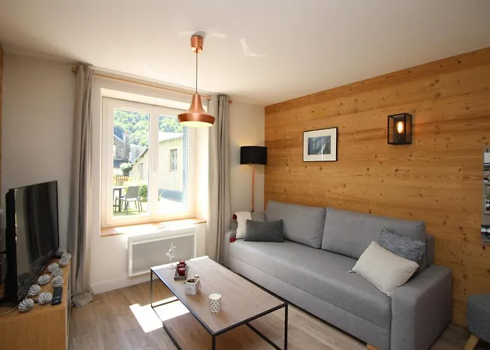 Le Mont-dore, T3 Renove Avec Jardin Prive Et Parking, Acces Wifi - Fr-1-608-37 Apartment Le Mont-Dore