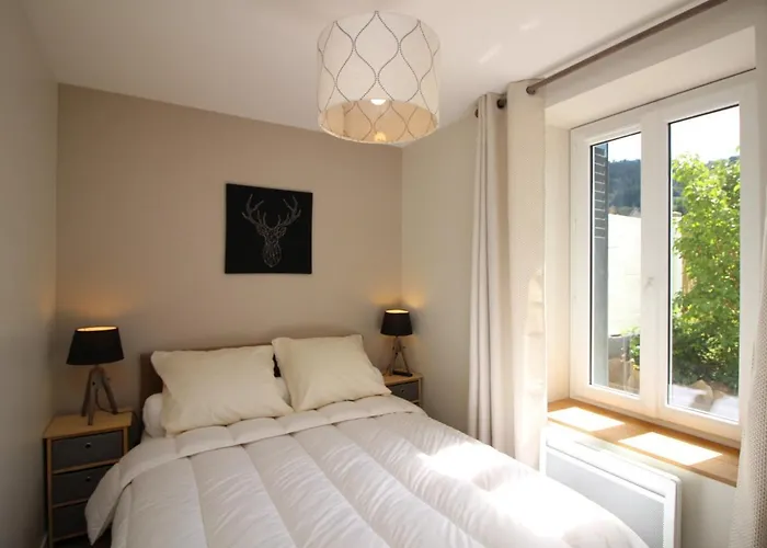 Le Mont-dore, T3 Renove Avec Jardin Prive Et Parking, Acces Wifi - Fr-1-608-37 Apartment Le Mont-Dore